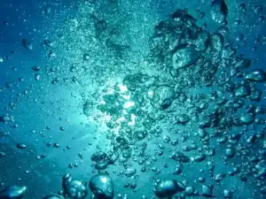 Wasser Aquarien & Teiche